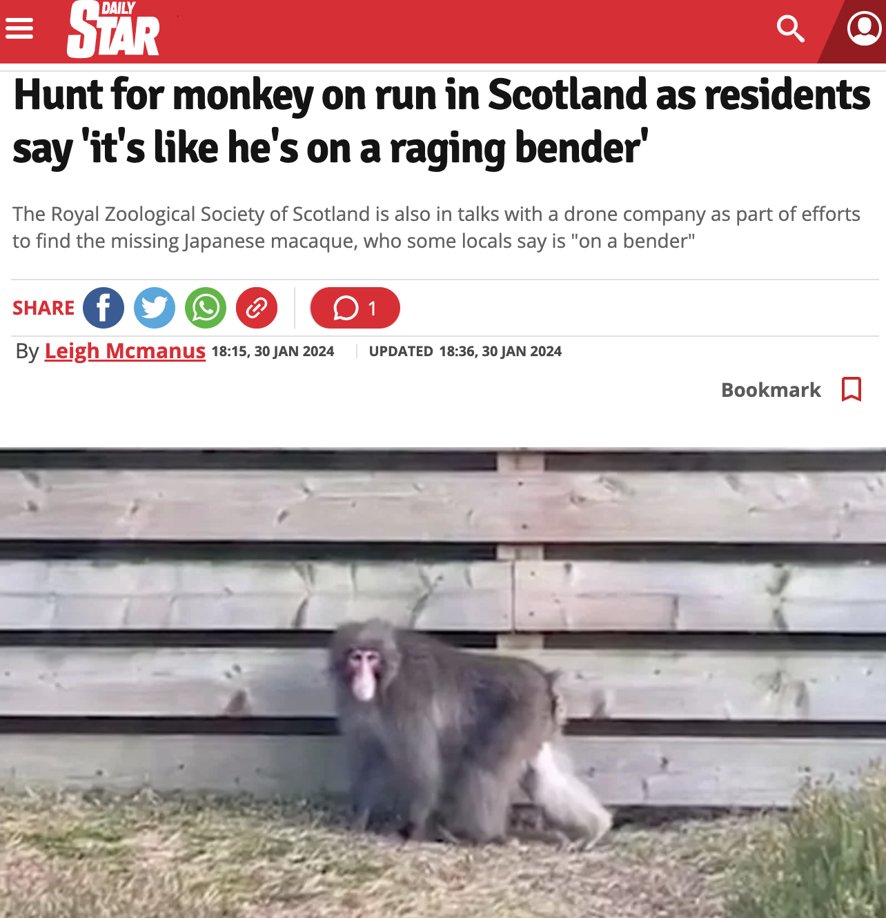 monkey escape scotland - Star Daily a Hunt for monkey on run in Scotland as residents say 'it's he's on a raging bender' The Royal Zoological Society of Scotland is also in talks with a drone company as part of efforts to find the missing Japanese macaque
